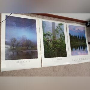 Nature Art Prints - Set of Three